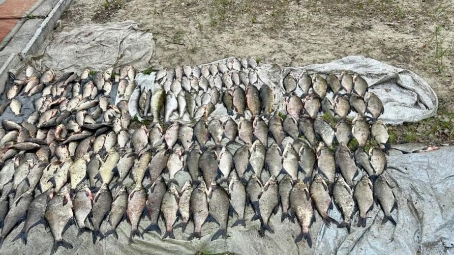 В Днепре браконьер выловил 160 кг рыбы во время нерестового запрета (ФОТО)