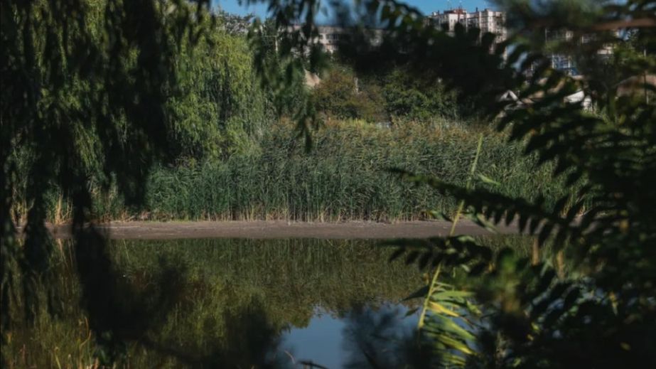 Как выглядит озеро Курячее в Днепре, которое стремительно теряет воду (ФОТО, ВИДЕО)