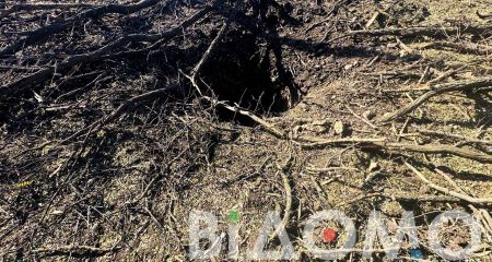 Разбитое домовладение и воронка посреди двора: как выглядит дом в прифронтовой Новопавловке (ВИДЕО)