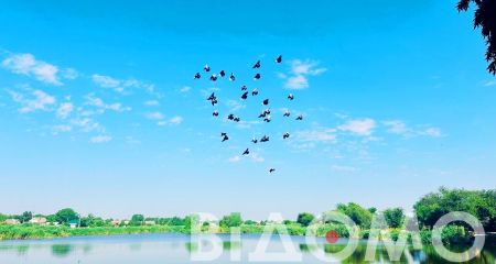 Якою буде погода у Дніпрі та області 5 вересня