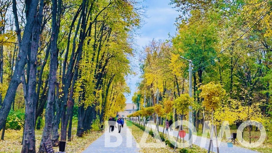 Дождь и ветер: какой будет погода в Днепре и области 29 сентября