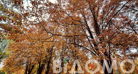 Дощ та пориви вітру: якою буде погода у Дніпрі та області 8 жовтня