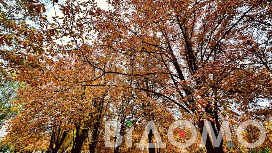 Дождь и порывы ветра: какой будет погода в Днепре и области 8 октября