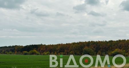 Туман и заморозки: какой будет погода в Днепре и области 16 октября