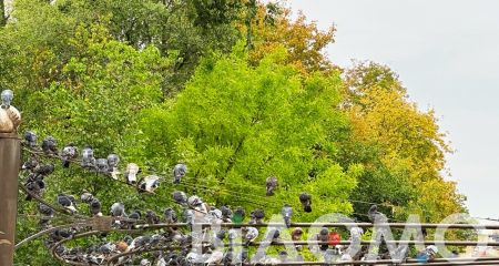 Якою буде погода у Дніпрі та області 23 жовтня