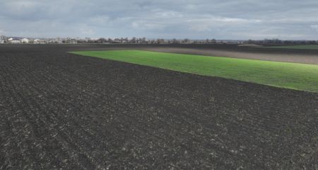 Более 1,5 тысяч га з...