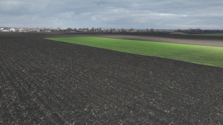 Более 1,5 тысяч га земли госуниверситета на Днепропетровщине удалось сохранить от незаконного изъятия (ФОТО)