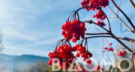 Какой будет погода в Днепре и области 6 декабря