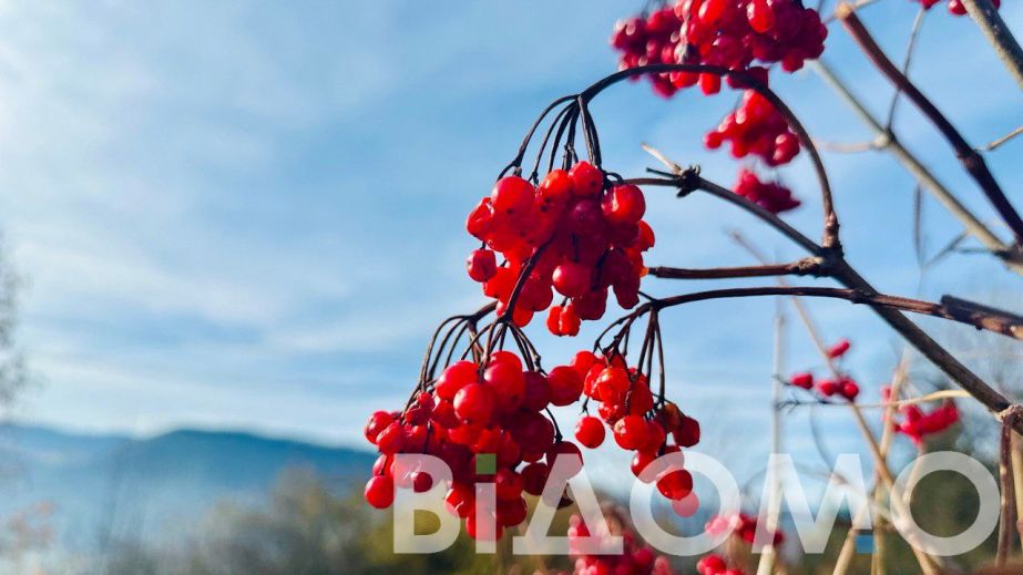 Какой будет погода в Днепре и области 6 декабря