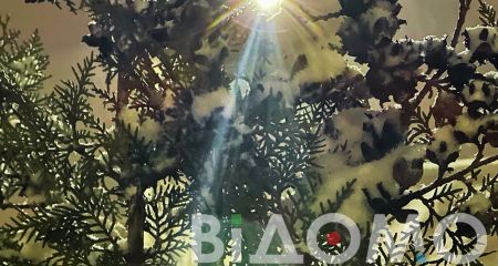 Якою буде погода у Дніпрі та області 15 грудня