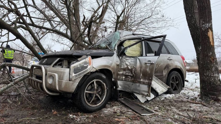 В Кривом Роге неподалеку Смычки автомобиль влетел в дерево: двух людей забрала "скорая" (ФОТО, ВИДЕО)