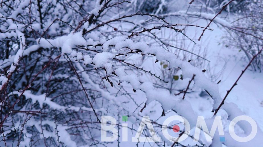 Ожеледиця та сильний мороз: якою буде погода у Дніпрі та області 12 січня