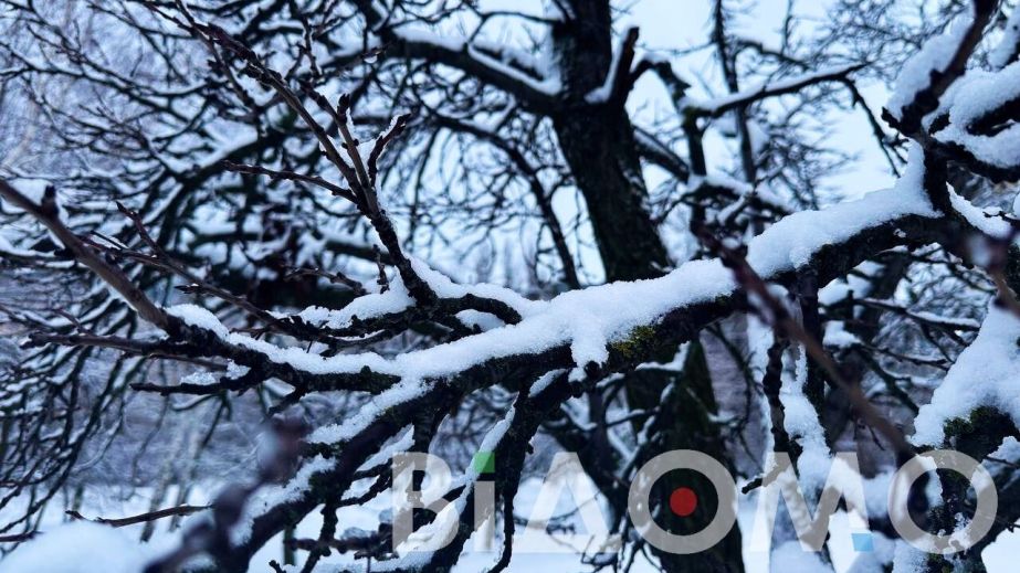 Морози не відступають: якою буде погода у Дніпрі та області 13 січня