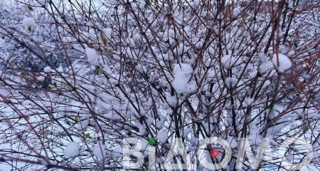 Невеликий сніг та туман: якою буде погода у Дніпрі та області 15 січня