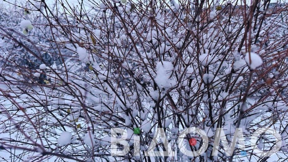 Небольшой снег и туман: какой будет погода в Днепре и области 15 января