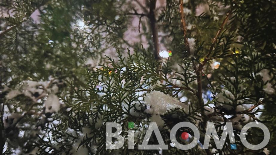 Хуртовина та пориви вітру: якою буде погода у Дніпрі та області 16 січня