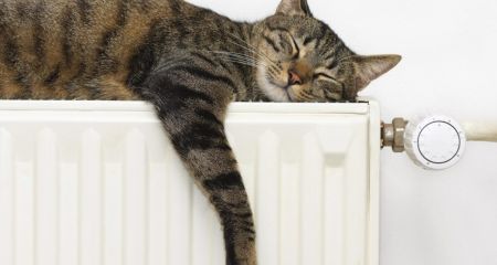 Временное прекращение теплоснабжения в Каменском (адреса)