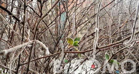 Налипання снігу та ожеледиця: Якою буде погода у Дніпрі та області 27 січня