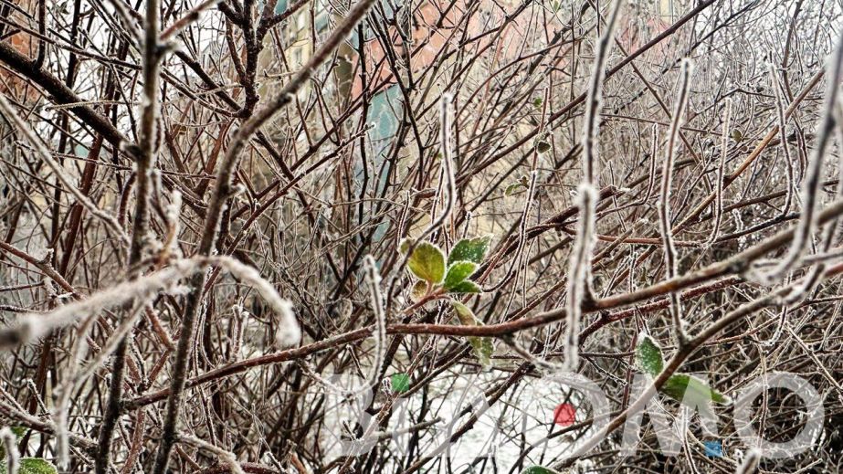 Налипання снігу та ожеледиця: Якою буде погода у Дніпрі та області 27 січня