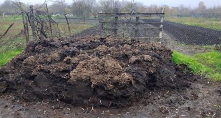 У Кривому Розі велич...