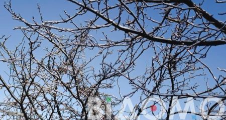 Ожеледиця та вітер: якою буде погода у Дніпрі та області 5 лютого