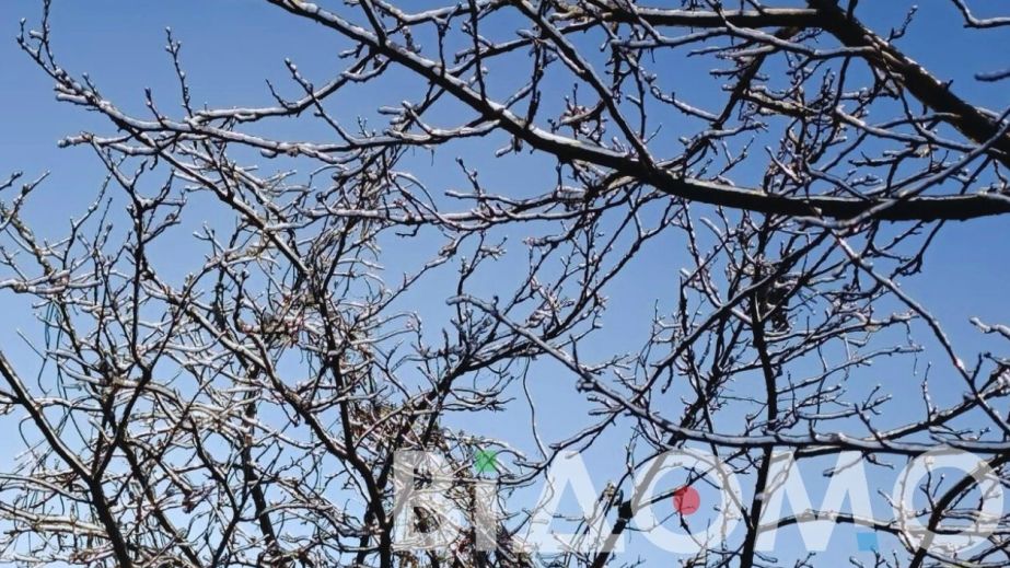 Гололед и ветер: какой будет погода в Днепре и области 5 февраля