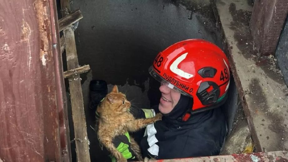 На Синельниківщині рятувальники визволили кота з 9-метрового колодязя (ФОТО)