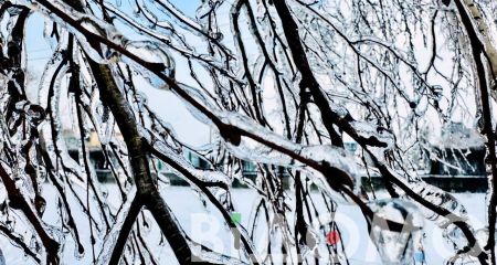 Ненастье наделало беды: без света остались 458 населенных пунктов Днепропетровщины и еще пяти областей