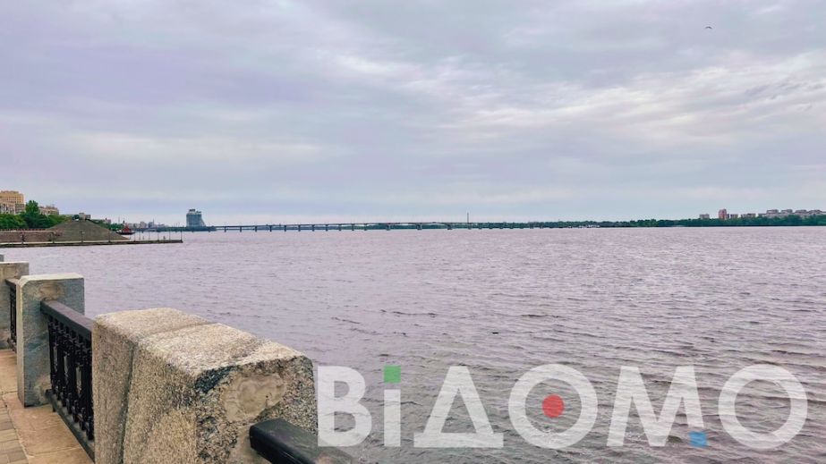 Велетенського сома по набережній у Дніпрі тягав водолаз (ВІДЕО)