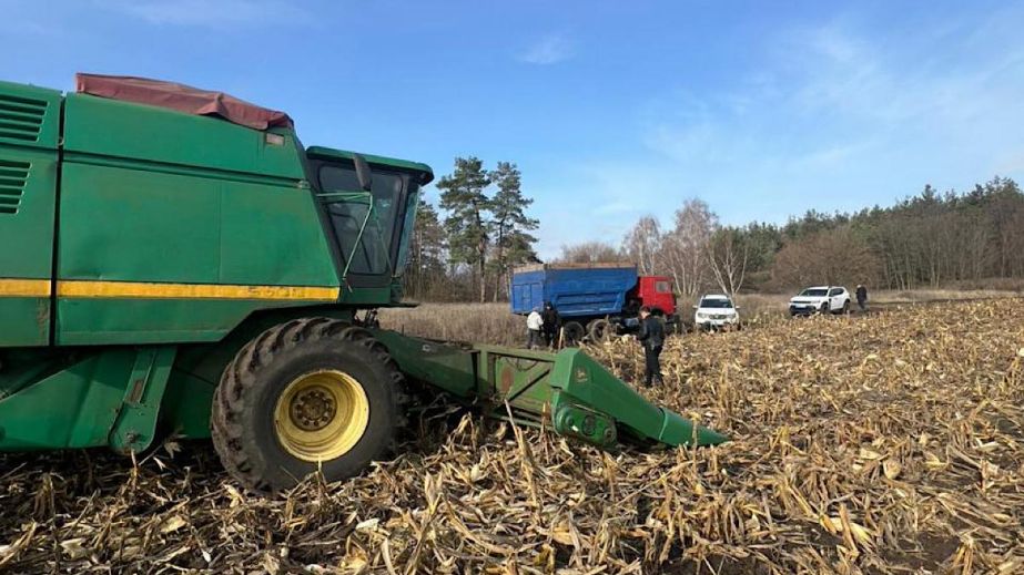 Незаконні жнива: мешканцю Дніпровського району загрожує відповідальність за самовільне зайняття 40 га землі