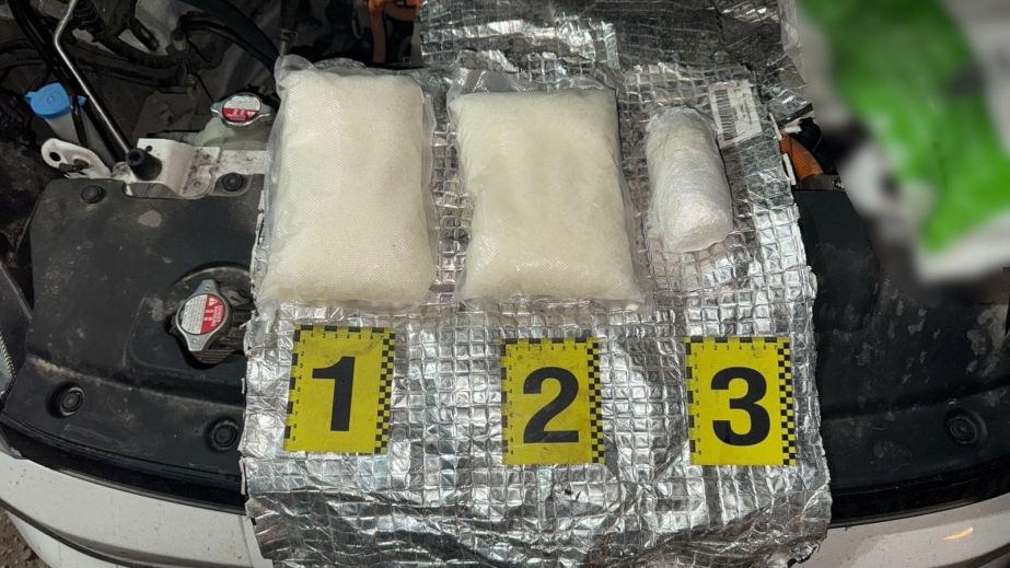 У мешканця Дніпропетровщини в автівці виявили понад 2 кілограми наркотиків на Закарпатті (ВІДЕО)
