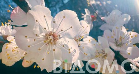 Какой будет погода в Днепре и области 13 апреля