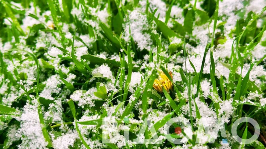 Окремі райони Дніпропетровщини 24 квітня засипало снігом (ФОТО)