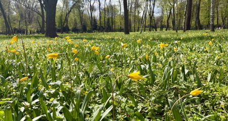 В Днепре переименовали два парка: как именно