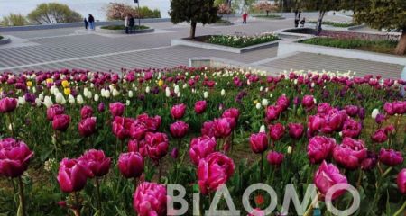 Какой будет погода в Днепре и области 4 мая