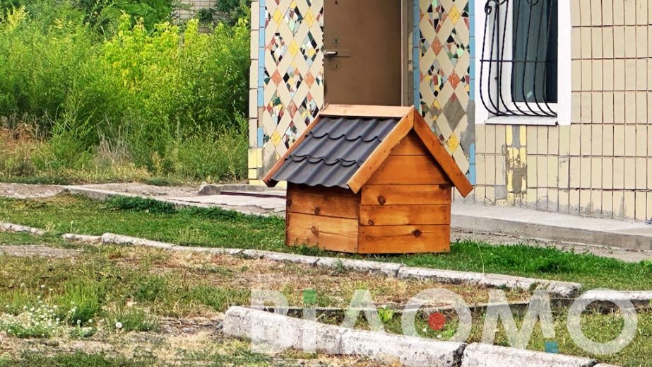 На Дніпропетровщині чоловік живцем спалив цуценят у будці (ВІДЕО)