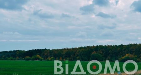Перетворили балку на сміттєзвалище: прокурори вимагають повернути державі 23 гектари землі під Дніпром (ВІДЕО)