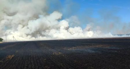 Более 27 га земли горело на Днепропетровщине 26 июня
