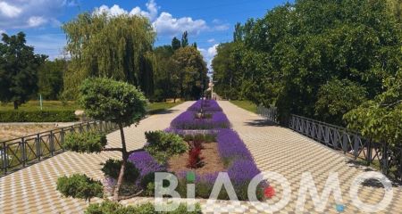 Жара и ветер: какой будет погода в Днепре и области 28 июня