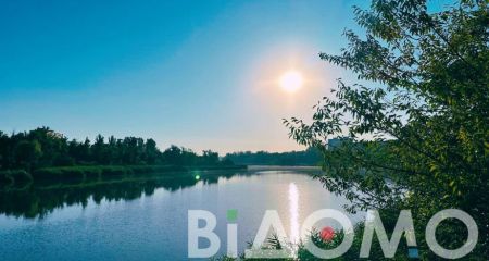 У Кривому Розі 30-річний чоловік пішов під воду під час відпочинку на пляжі