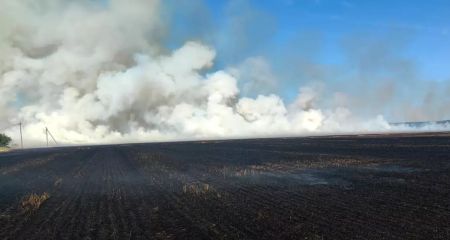 Згоріли три гектари пшениці: масштабна пожежа на Дніпропетровщині (ВІДЕО)