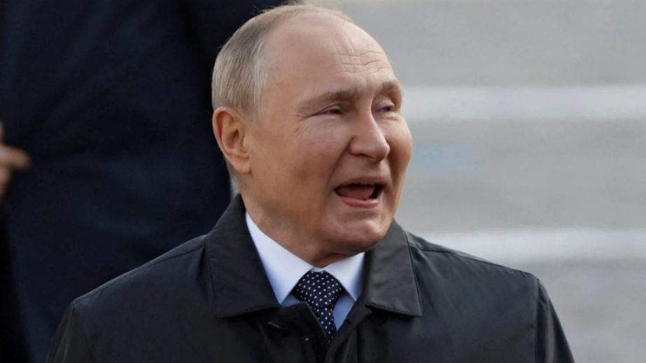 "Пищевая цепь" диктатора: почему сказки Путина о косатках разбиваются о реальность