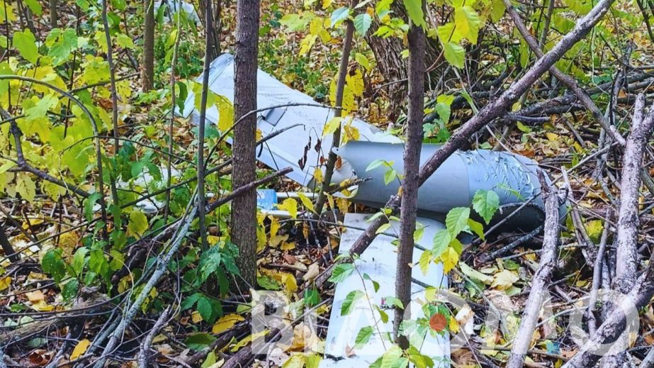 Небезпечні знахідки на Криворіжжі: сапери ДСНС знешкодили ракету Х-59, гранату та ворожий безпілотник