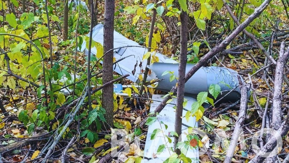 Опасная находка вместо урожая: на Днепропетровщине грибники наткнулись на вражеский БпЛА (ФОТО)