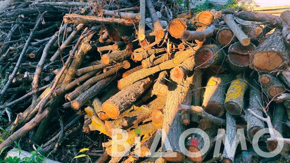 В Днепровском районе поймали "черных" лесорубов с трактором (ФОТО)