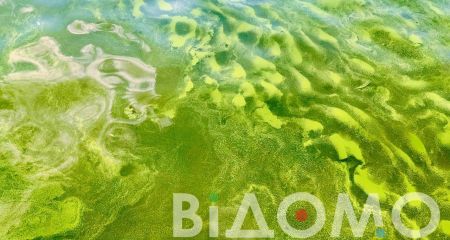 Екологічне лихо у Кривому Розі: річка Саксагань змінила колір, а береги всіяні мертвою рибою (ВІДЕО)