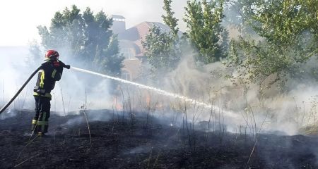 Екосистеми Дніпропетровщини 3 липня палали 82 рази