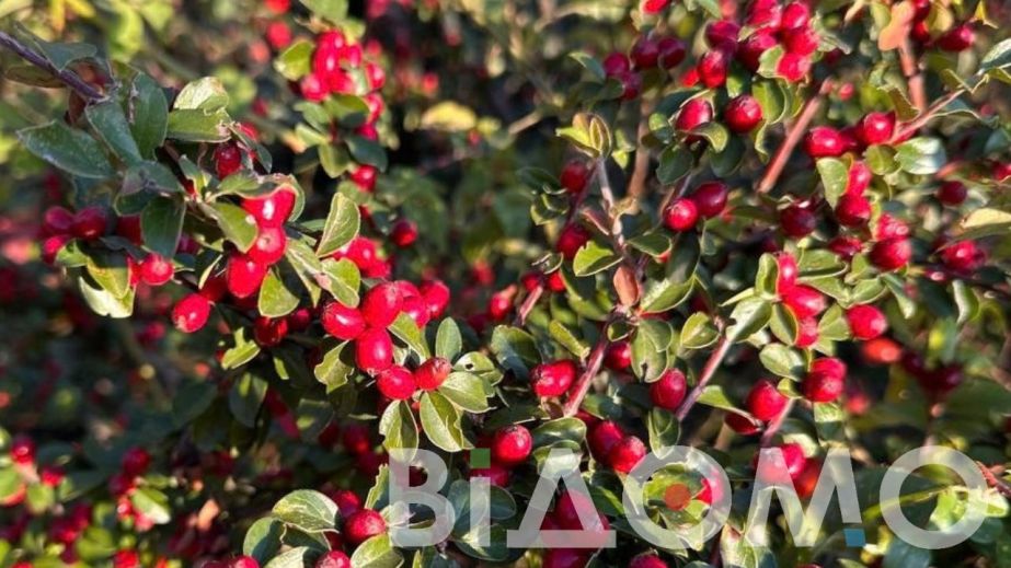 Тепло до +23&deg;C и без осадков: какой будет погода в Днепре и области 7 октября