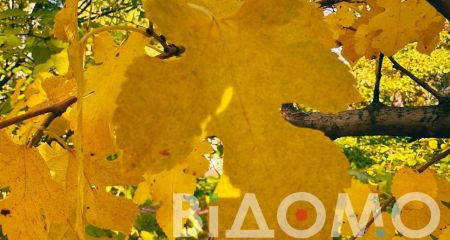 Комфортне тепло та без дощу: якою буде погода у Дніпрі та області 22 жовтня