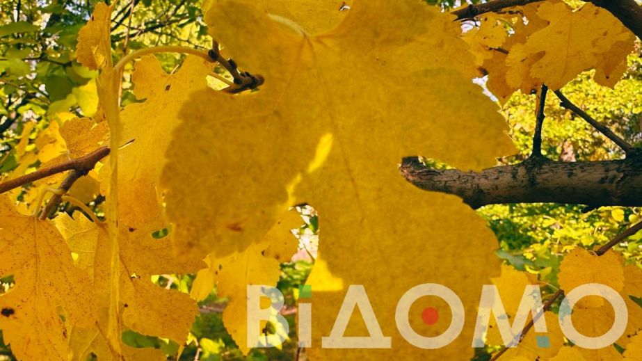 Комфортне тепло та без дощу: якою буде погода у Дніпрі та області 22 жовтня